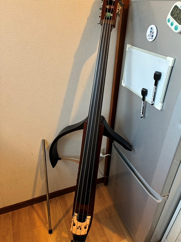 YAMAHA SLB200の画像